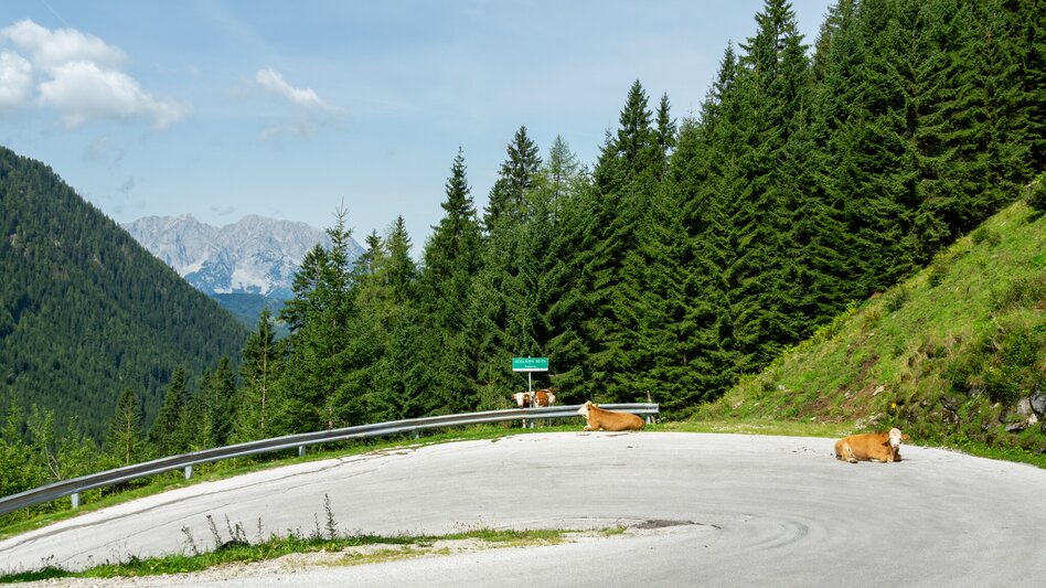 Mountainbike Planneralm Runde (mit Lademöglichkeit) | 317 - Touren-Impression #2.11