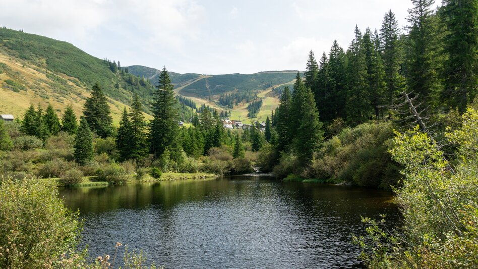 Mountainbike Planneralm Runde (mit Lademöglichkeit) | 317 - Touren-Impression #2.12