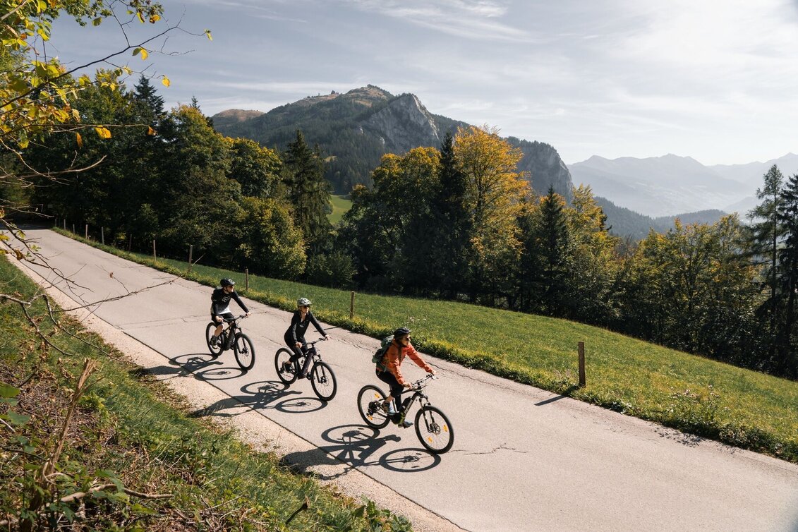 Mountainbike Spechtensee Runde (mit Lademöglichkeit) | 315 - Touren-Impression #1 | © Erlebnisregion Schladming-Dachstein