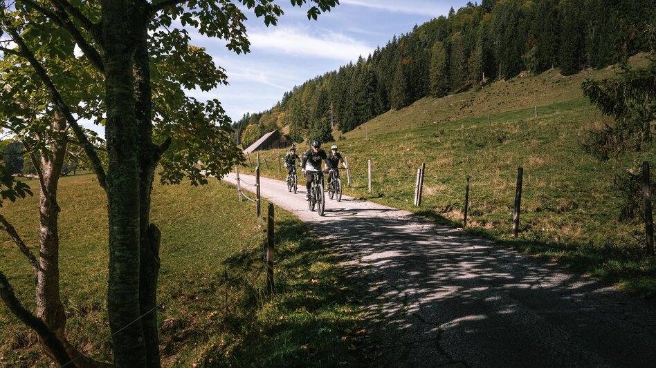 Mountainbike Spechtensee Runde (mit Lademöglichkeit) | 315 - Touren-Impression #2.4 | © Erlebnisregion Schladming-Dachstein