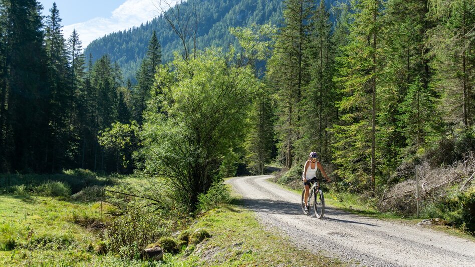 Mountainbike Viehberg Runde ab Gröbming | 314 - Touren-Impression #2.4
