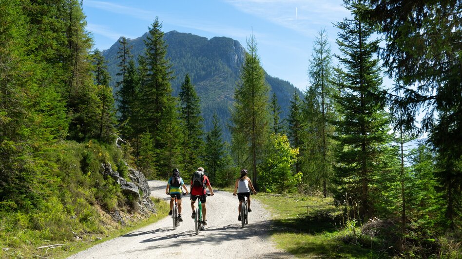 Mountainbike Viehberg Runde ab Gröbming | 314 - Touren-Impression #2.5