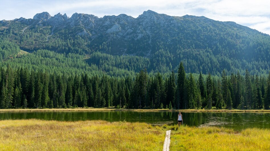 Mountainbike Viehberg Runde ab Gröbming | 314 - Touren-Impression #2.7