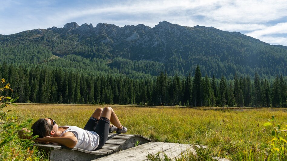 Mountainbike Viehberg Runde ab Gröbming | 314 - Touren-Impression #2.8