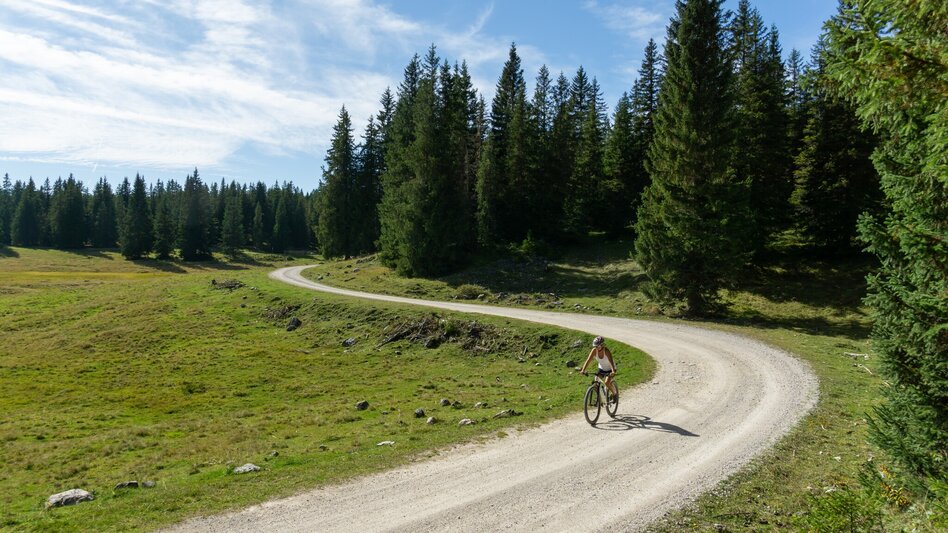 Mountainbike Viehberg Runde ab Gröbming | 314 - Touren-Impression #2.9