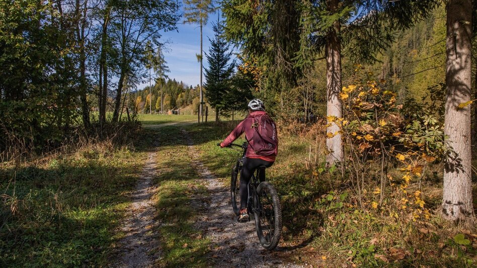 Mountainbike Stornalm Runde | 308 - Touren-Impression #2.3 | © Erlebnisregion Schladming-Dachstein