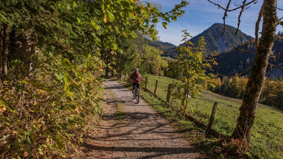 Mountainbike Stornalm Runde | 308 - Touren-Impression #2.7 | © Erlebnisregion Schladming-Dachstein