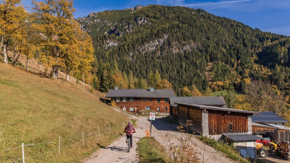 Mountainbike Stornalm Runde | 308 - Touren-Impression #2.8 | © Erlebnisregion Schladming-Dachstein