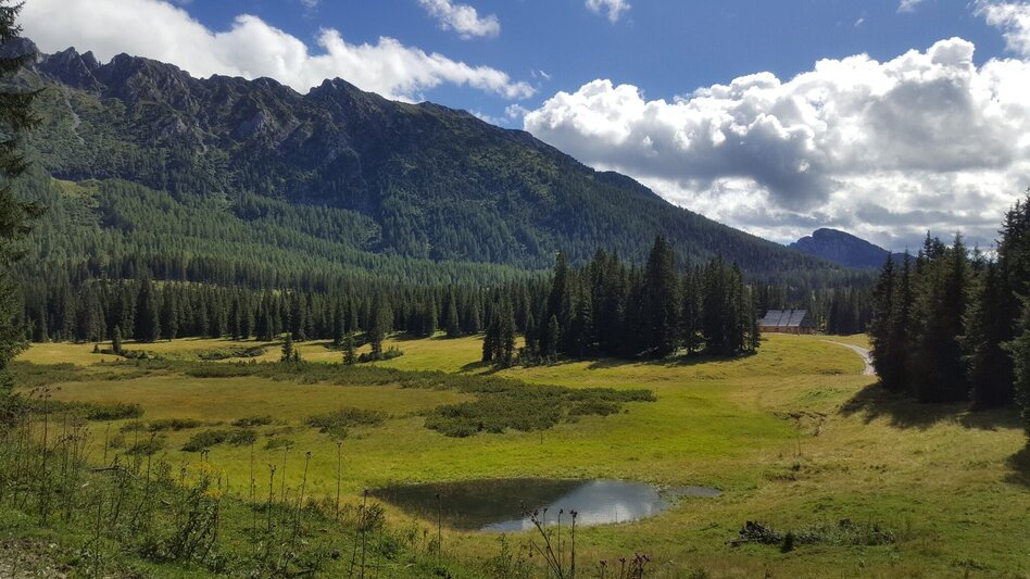 Mountainbike Dachstein Runde - Touren-Impression #2.9 | © Erlebnisregion Schladming-Dachstein