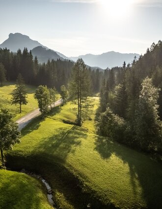 Bad Mitterndorf | Erwin Haiden, bikeboard.at | © Erlebnisregion Schladming-Dachstein