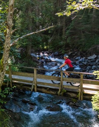 Stallaalm-Runde | Brücke | Markus Schrempf 
