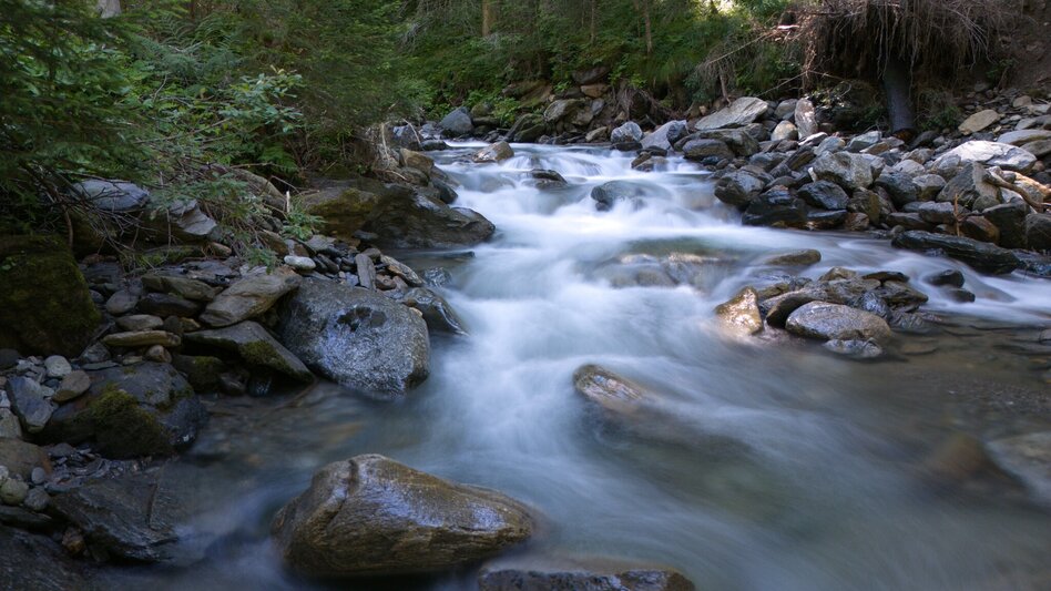 Mountainbike Stallaalm Runde (mit Lademöglichkeit) | 319 - Touren-Impression #2.2