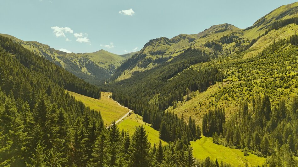 Mountainbike Stallaalm Runde (mit Lademöglichkeit) | 319 - Touren-Impression #2.4