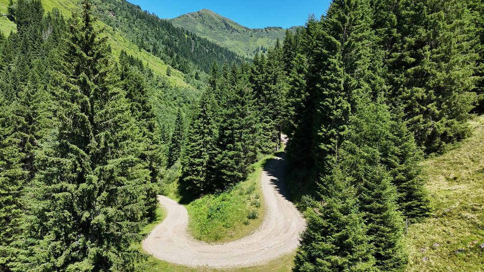 Mountainbike Stallaalm Runde (mit Lademöglichkeit) | 319 - Touren-Impression #2.6