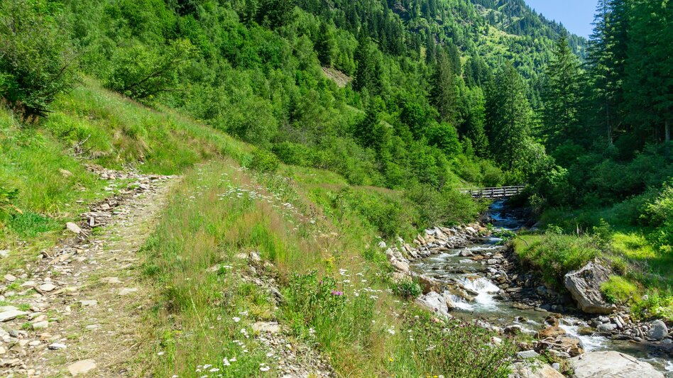 Mountainbike Stallaalm Runde (mit Lademöglichkeit) | 319 - Touren-Impression #2.8