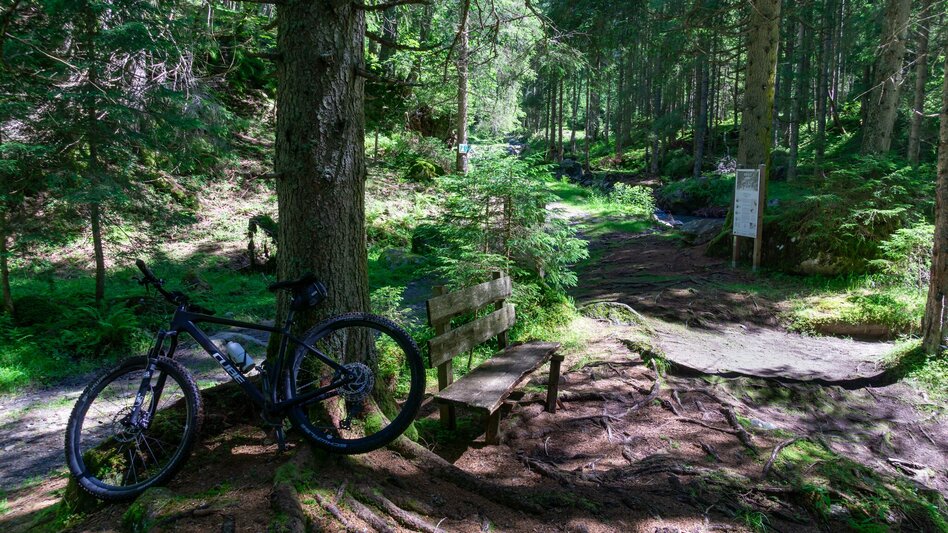 Mountainbike Stallaalm Runde (mit Lademöglichkeit) | 319 - Touren-Impression #2.9