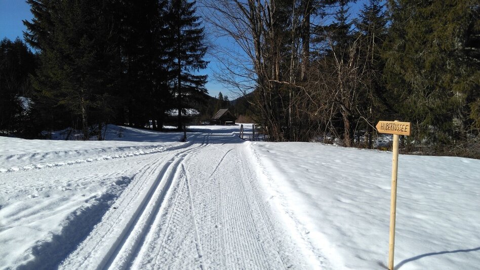 Ski-nordic-classic Walstern - Hubertussee (classic and skating) - Touren-Impression #2.1 | © TV Hochsteiermark