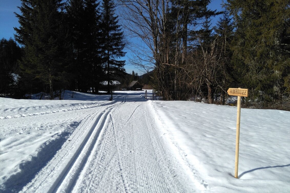 Ski-nordic-classic Walstern - Hubertussee (classic and skating) - Touren-Impression #1 | © TV Hochsteiermark