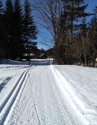 Zum Hubertussee | Herbert Fuchs | © TV Hochsteiermark