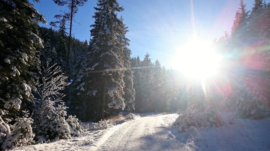 Ski-nordic-classic Walstern - Hubertussee (classic and skating) - Touren-Impression #2.2 | © TV Hochsteiermark