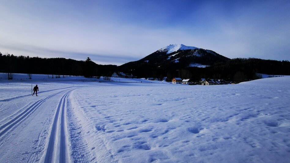 Ski-nordic-classic Erlaufloipe Mitterbach (classic and skating) - Touren-Impression #2.2 | © TV Hochsteiermark
