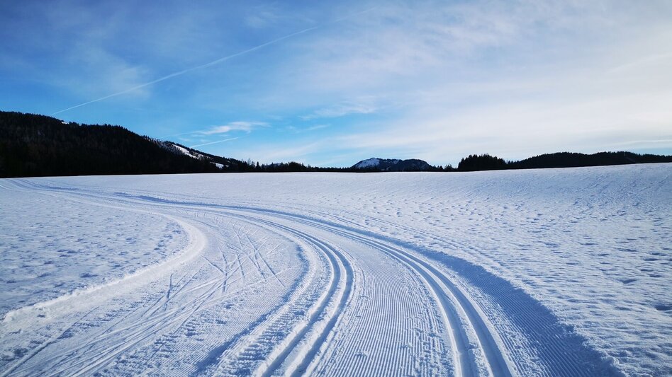 Ski-nordic-classic Erlaufloipe Mitterbach (classic and skating) - Touren-Impression #2.1 | © TV Hochsteiermark