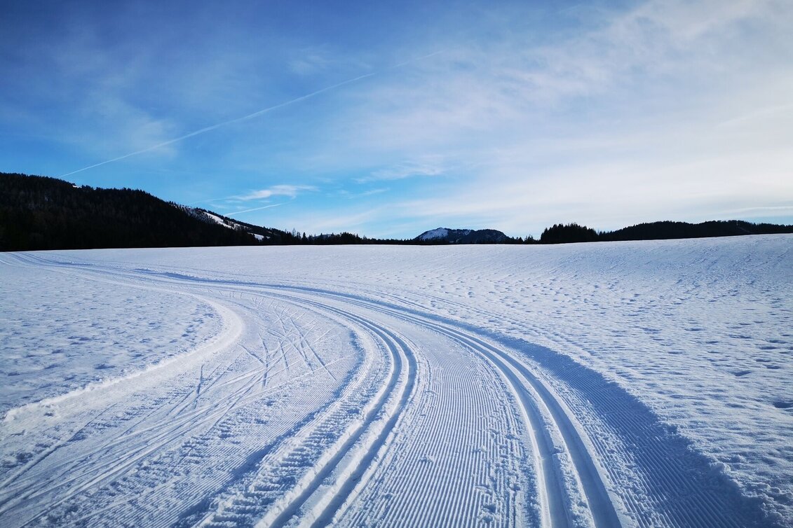 Ski-nordic-classic Erlaufloipe Mitterbach (classic and skating) - Touren-Impression #1 | © TV Hochsteiermark