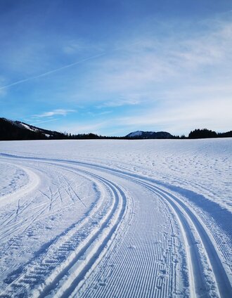 erlaufloipe mitterbach (klassisch und skating)_img_56295311 | Brigitte Digruber | © TV Hochsteiermark