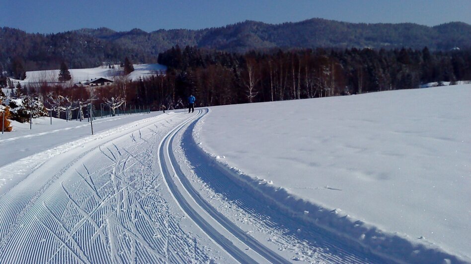 Ski-nordic-classic Erlaufloipe Mitterbach (classic and skating) - Touren-Impression #2.3 | © TV Hochsteiermark