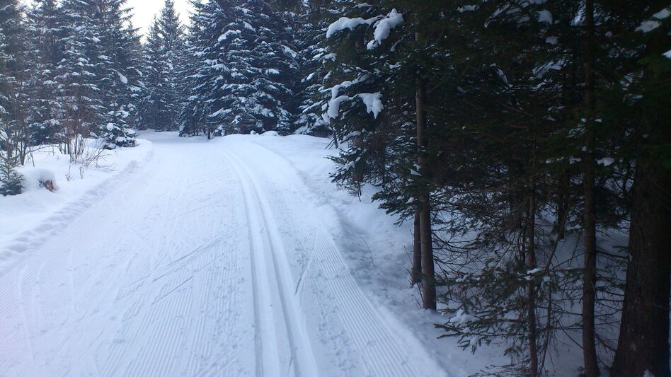 Ski-nordic-classic Erlaufloipe Mitterbach (classic and skating) - Touren-Impression #2.4 | © TV Hochsteiermark