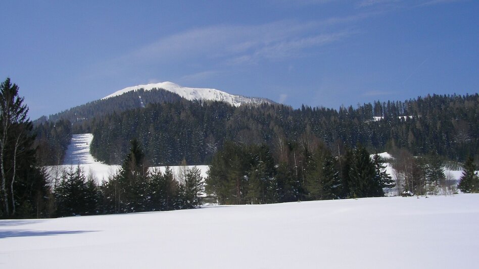 Ski-nordic-classic Erlaufloipe Mitterbach (classic and skating) - Touren-Impression #2.5 | © TV Hochsteiermark
