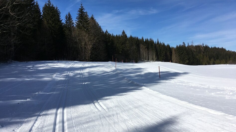 Ski-nordic-classic Mariazellerlandloipe (classic and skating) - Touren-Impression #2.9 | © TV Hochsteiermark