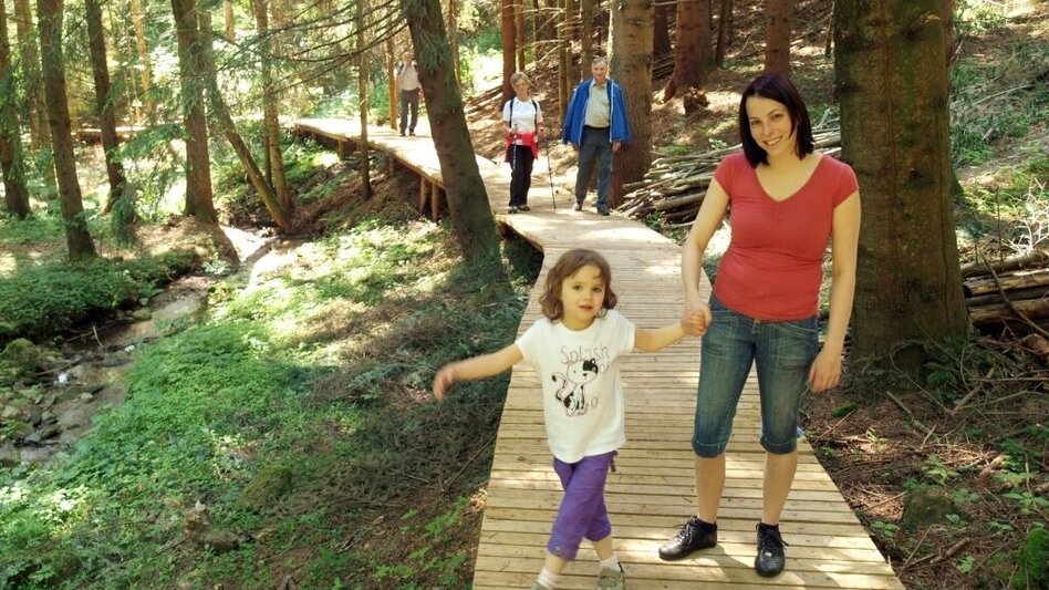 Hiking route Waterway, Miesenbach - Touren-Impression #2.2 | © TV Miesenbach