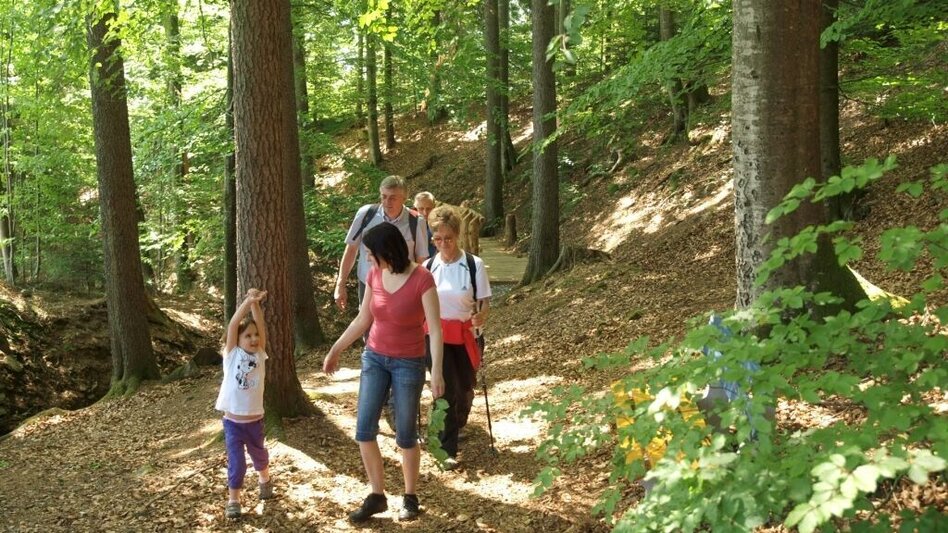 Hiking route Waterway, Miesenbach - Touren-Impression #2.4 | © TV Miesenbach