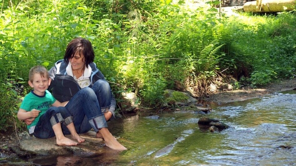 Hiking route Waterway, Miesenbach - Touren-Impression #2.5 | © TV Miesenbach