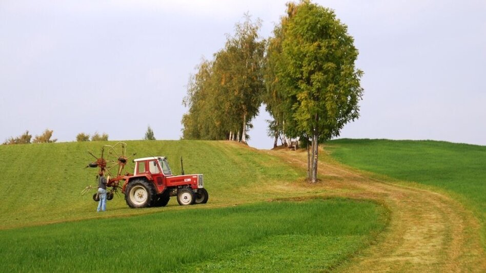 Wanderung Kraftpfad Wenigzell - Touren-Impression #2.3 | © Oststeiermark Tourismus