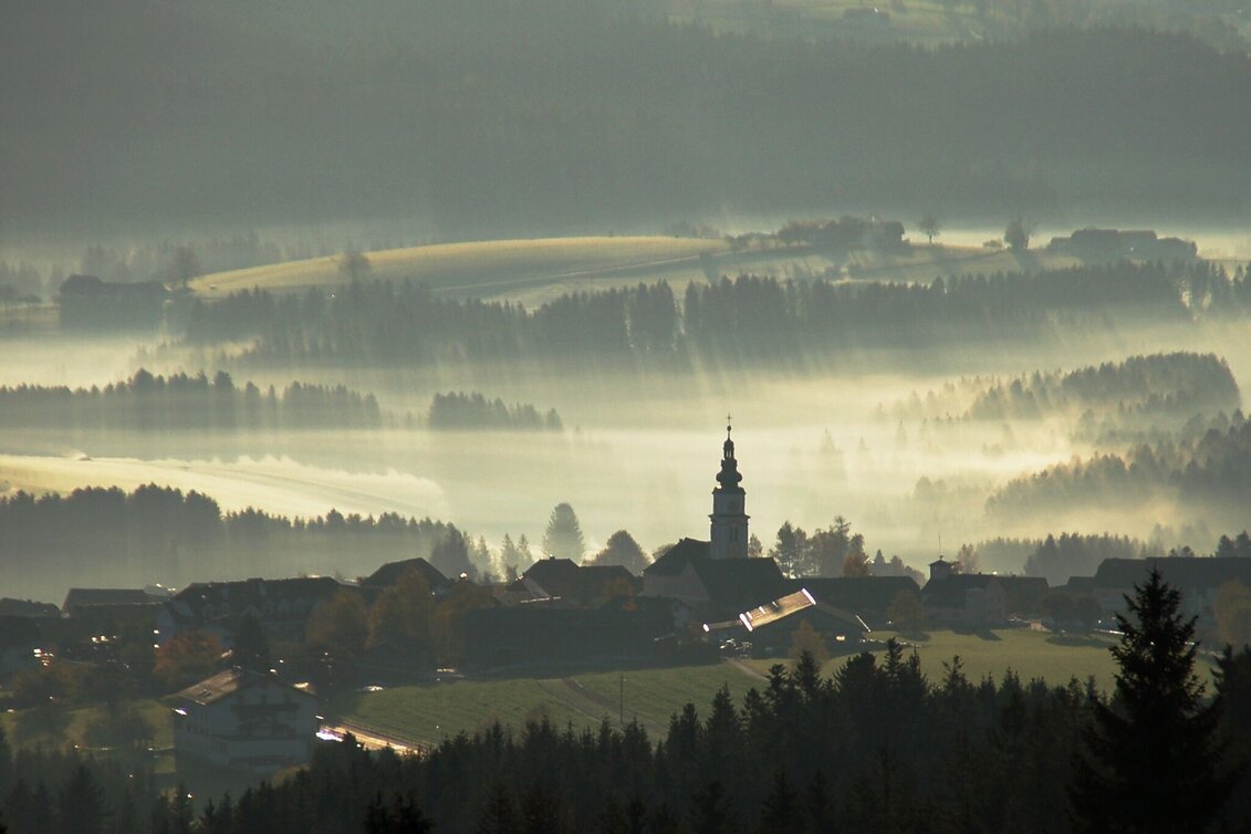 Wanderung Kraftpfad Wenigzell - Touren-Impression #1 | © Oststeiermark Tourismus
