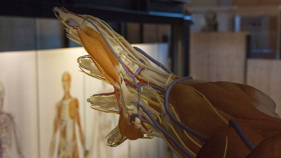 Hiking route Planetary path "Heaven on Earth, Rettenegg - Touren-Impression #2.5 | © Gemeinde Rettenegg, Michael Löffler