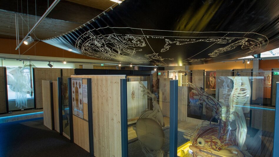 Hiking route Planetary path "Heaven on Earth, Rettenegg - Touren-Impression #2.6 | © Gemeinde Rettenegg Michael Löffler