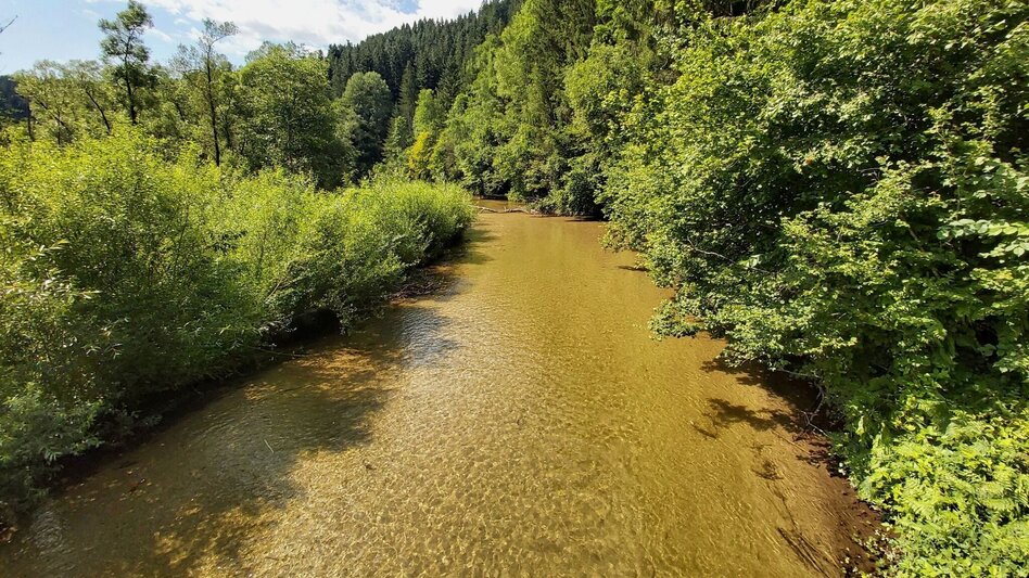 Wanderung Weg der Labyrinthe, Birkfeld - Touren-Impression #2.11 | © Oststeiermark Tourismus