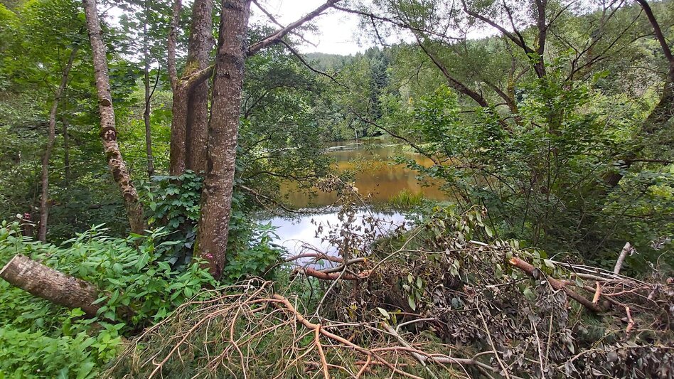 Wanderung Weg der Labyrinthe, Birkfeld - Touren-Impression #2.12 | © Oststeiermark Tourismus
