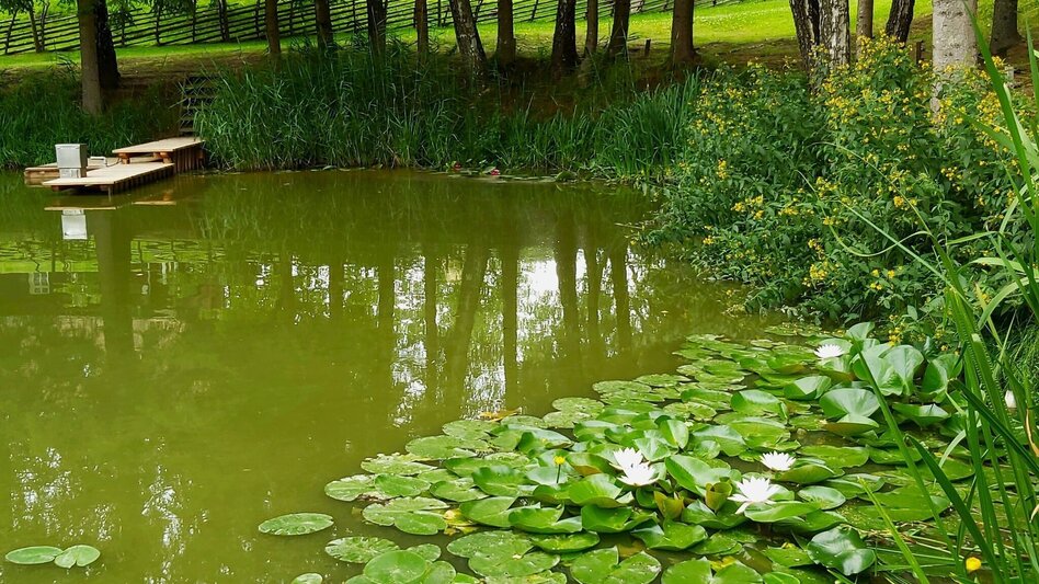 Wanderung Weg der Labyrinthe, Birkfeld - Touren-Impression #2.18 | © Oststeiermark Tourismus