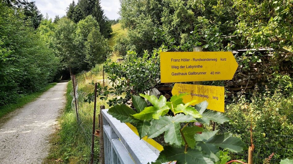 Wanderung Weg der Labyrinthe, Birkfeld - Touren-Impression #2.14 | © Oststeiermark Tourismus