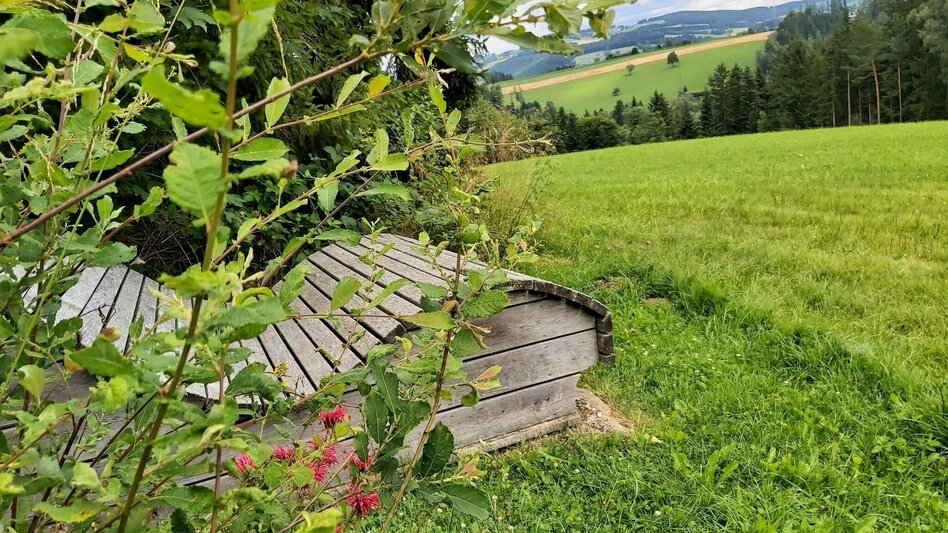 Wanderung Weg der Labyrinthe, Birkfeld - Touren-Impression #2.16 | © Oststeiermark Tourismus