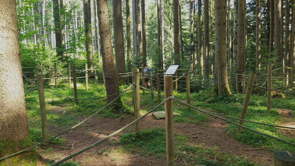 Wanderung Weg der Labyrinthe, Birkfeld - Touren-Impression #2.6 | © Oststeiermark Tourismus