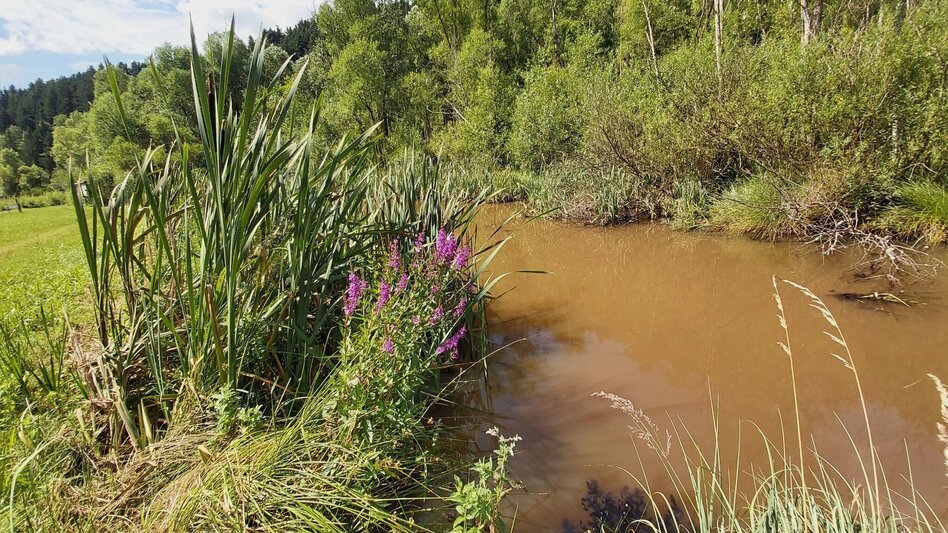 Wanderung Weg der Labyrinthe, Birkfeld - Touren-Impression #2.9 | © Oststeiermark Tourismus