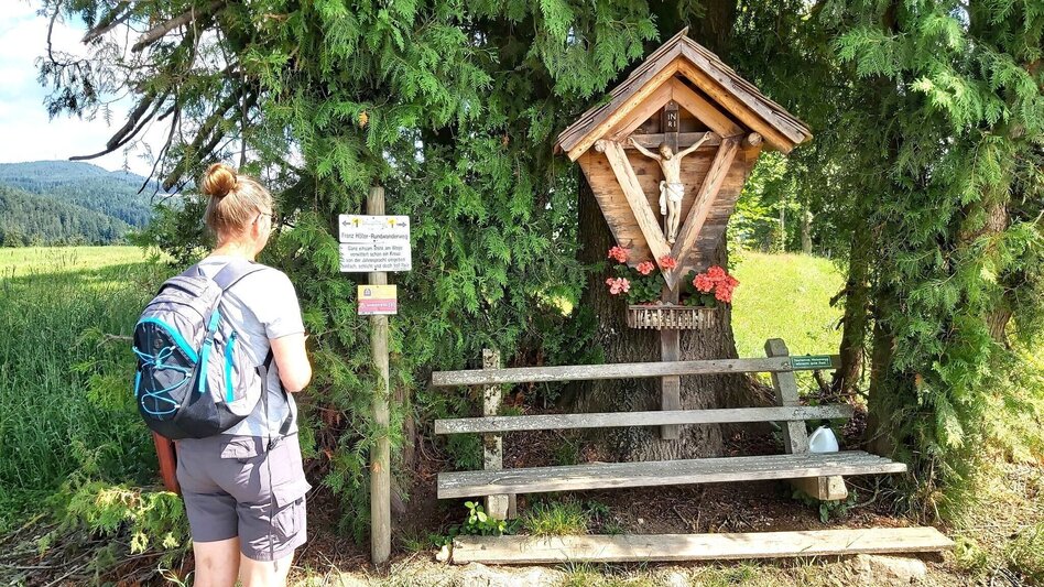 Wanderung Weg der Labyrinthe, Birkfeld - Touren-Impression #2.5 | © Oststeiermark Tourismus