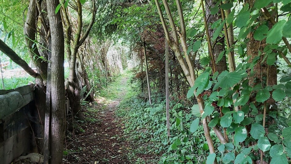 Wanderung Weg der Labyrinthe, Birkfeld - Touren-Impression #2.15 | © Oststeiermark Tourismus