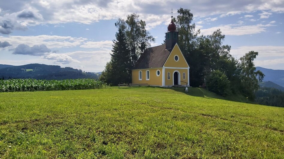 Wanderung Weg der Labyrinthe, Birkfeld - Touren-Impression #2.21 | © Oststeiermark Tourismus