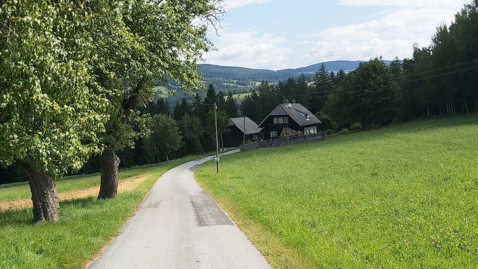 Wanderung Weg der Labyrinthe, Birkfeld - Touren-Impression #2.4 | © Oststeiermark Tourismus